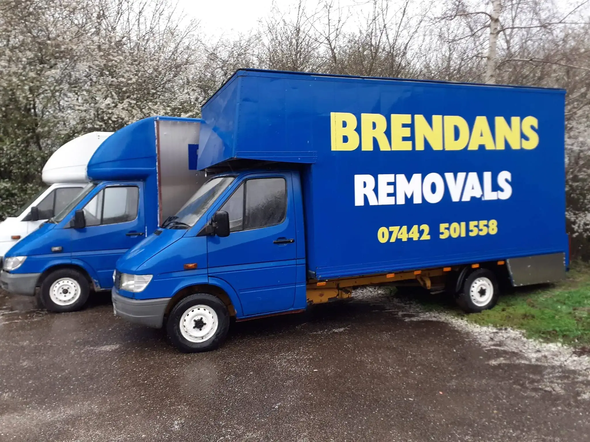 Brendans Van Fleet