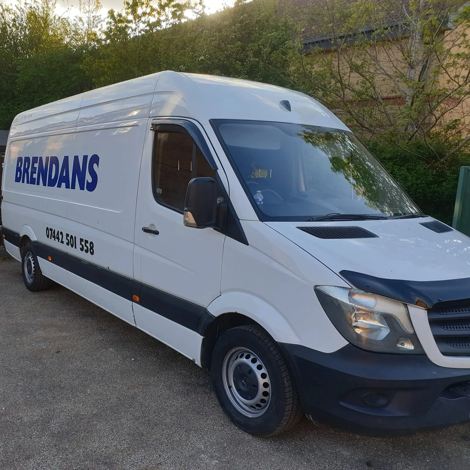 Sprinter Vans (various sizes)